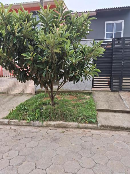 Casa de férias Recanto Gerberas Florianopolis